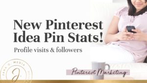 New Pinterest Idea Pin Stats