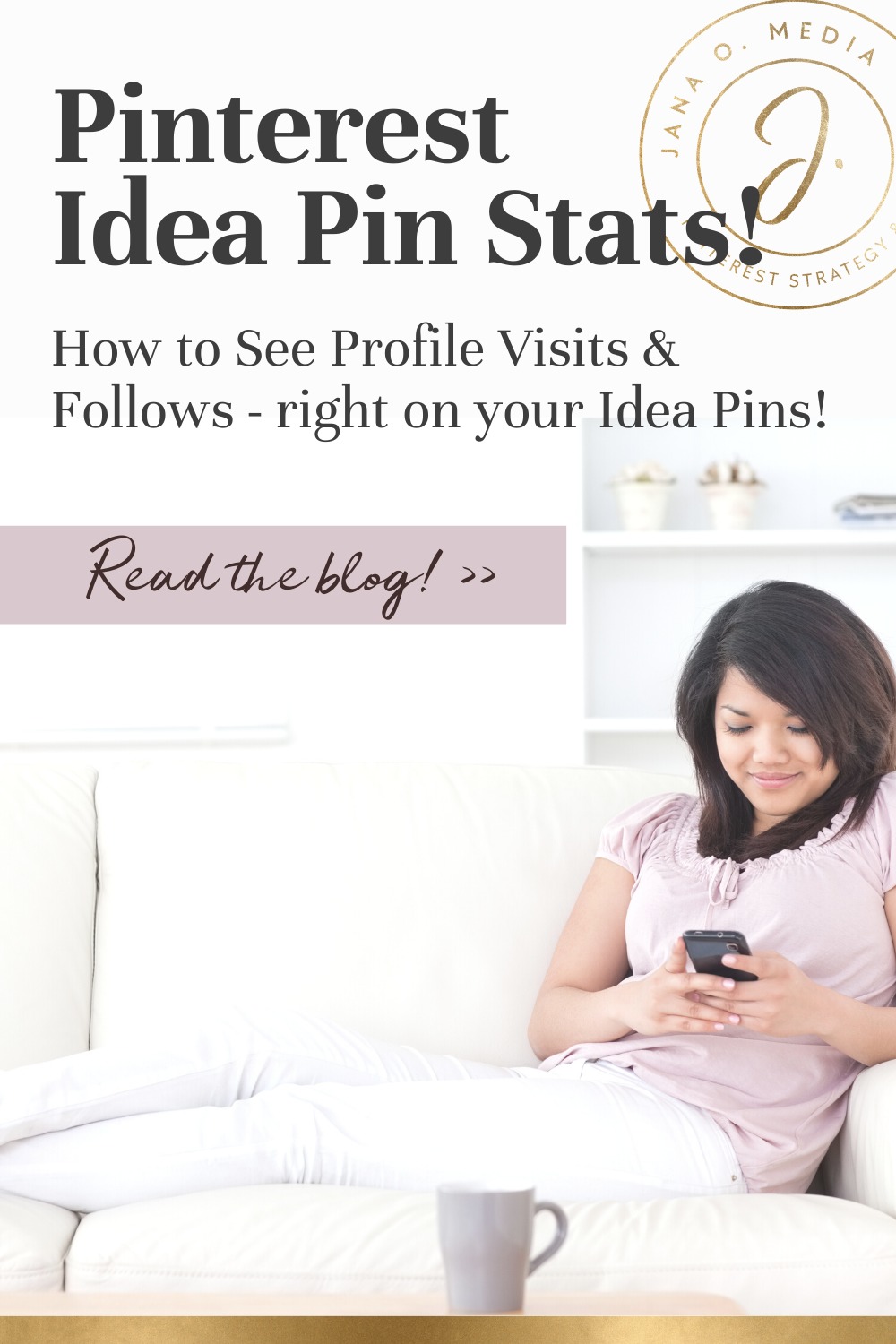 Pin - New Pinterest Idea Pin Stats
